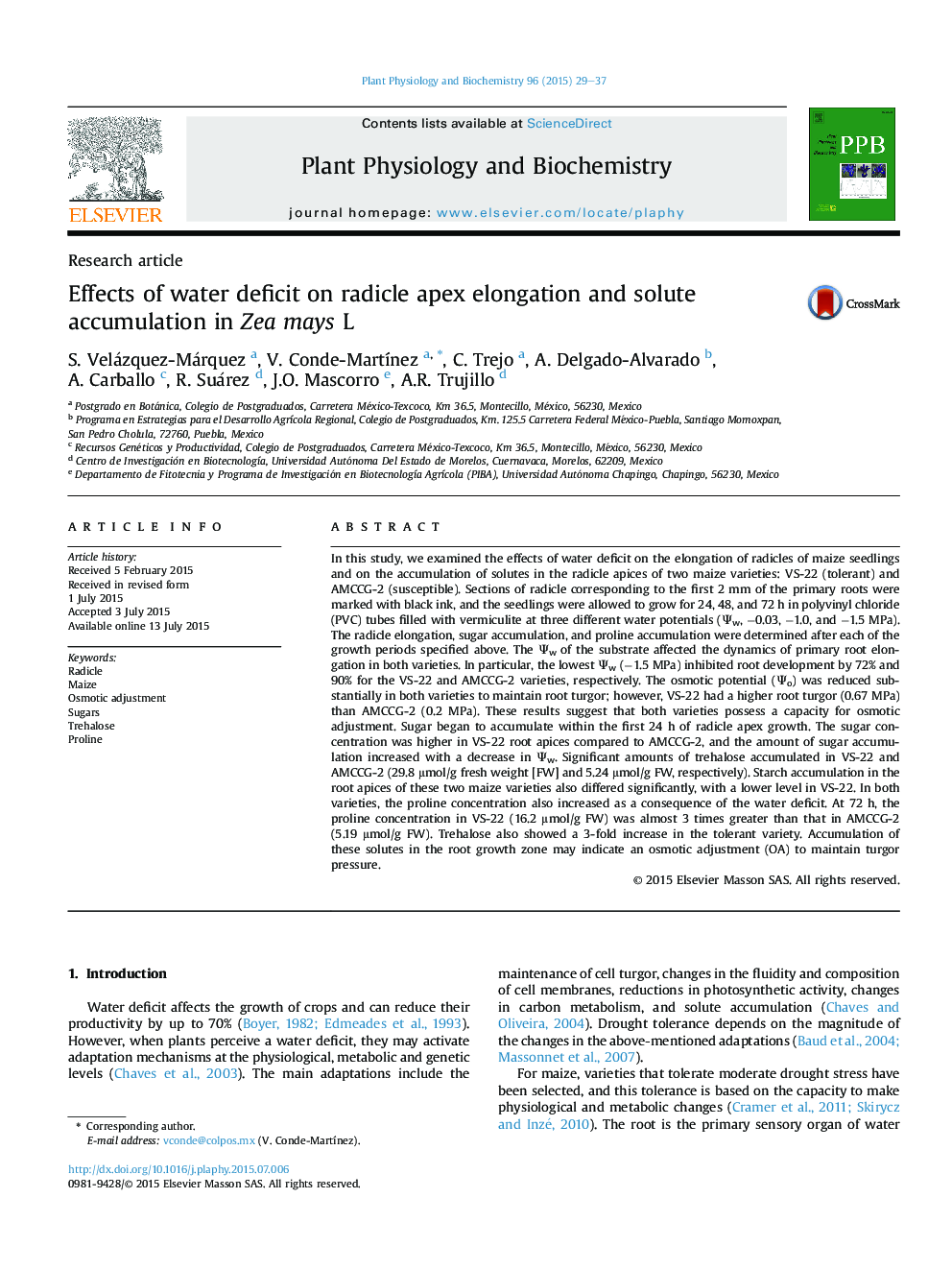 Effects of water deficit on radicle apex elongation and solute accumulation in Zea mays L