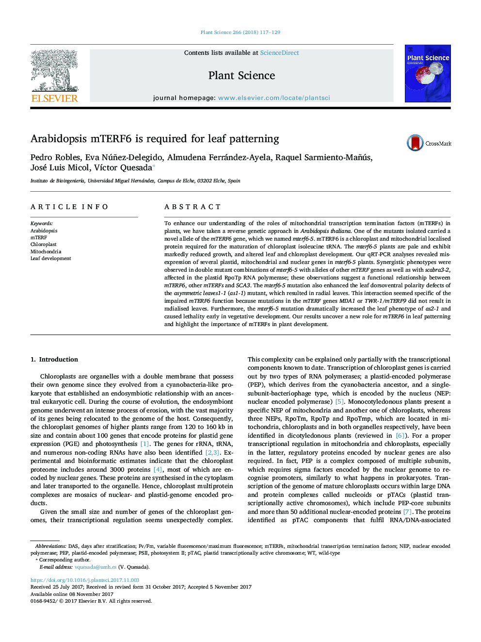 Arabidopsis mTERF6 is required for leaf patterning