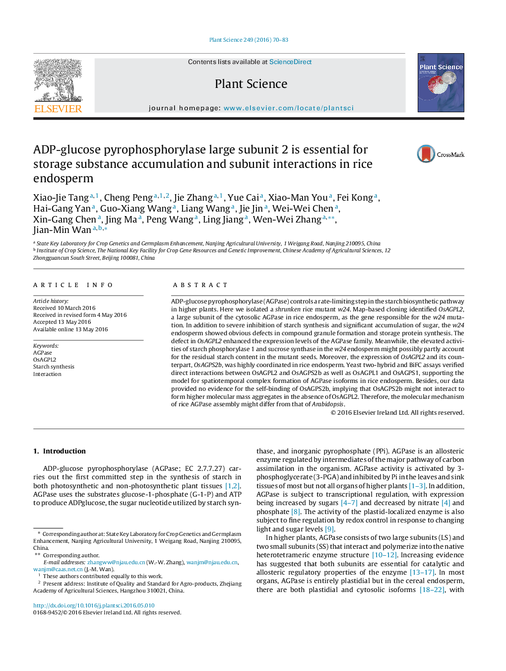 ADP-glucose pyrophosphorylase large subunit 2 is essential for storage substance accumulation and subunit interactions in rice endosperm