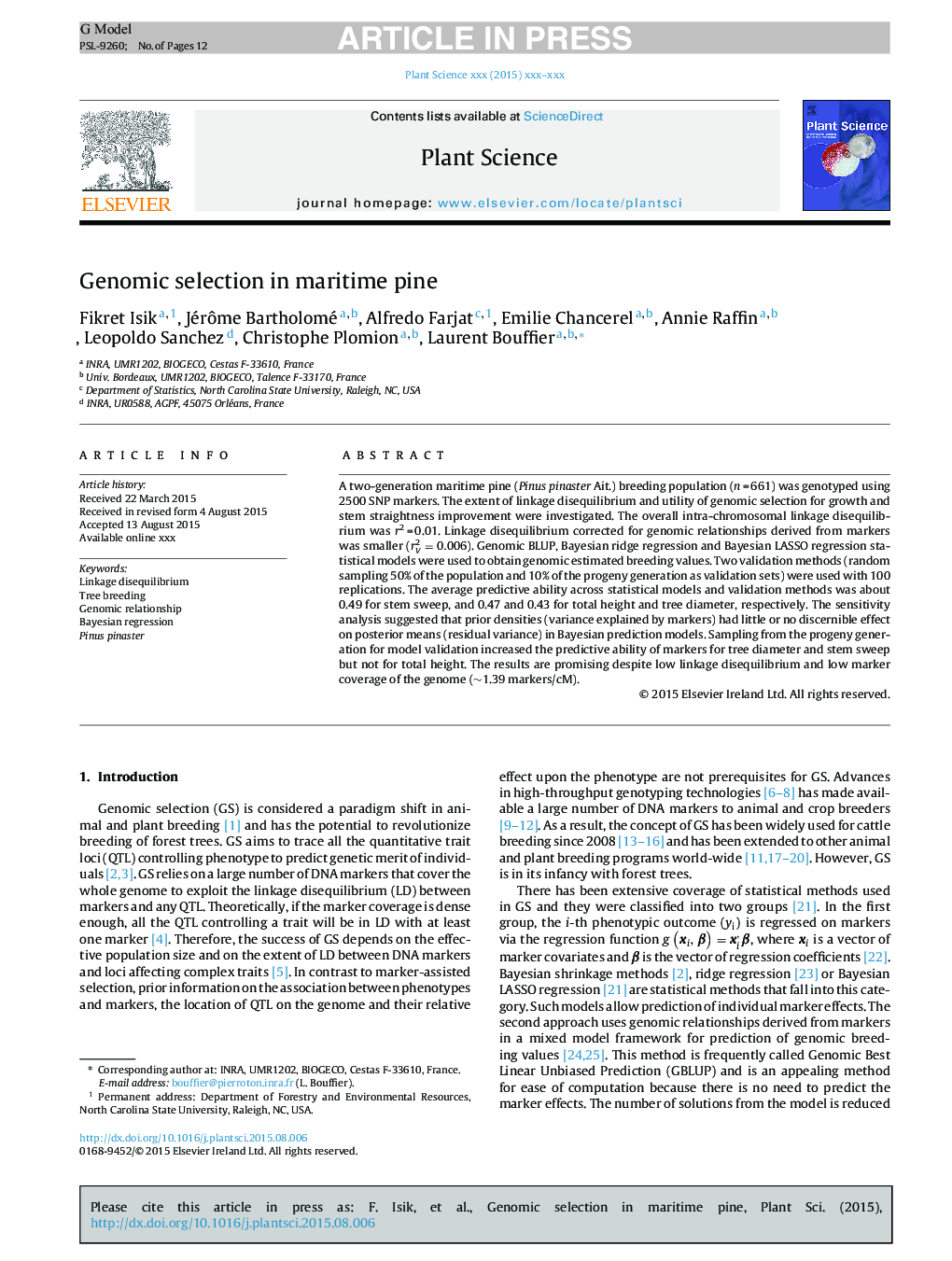 Genomic selection in maritime pine