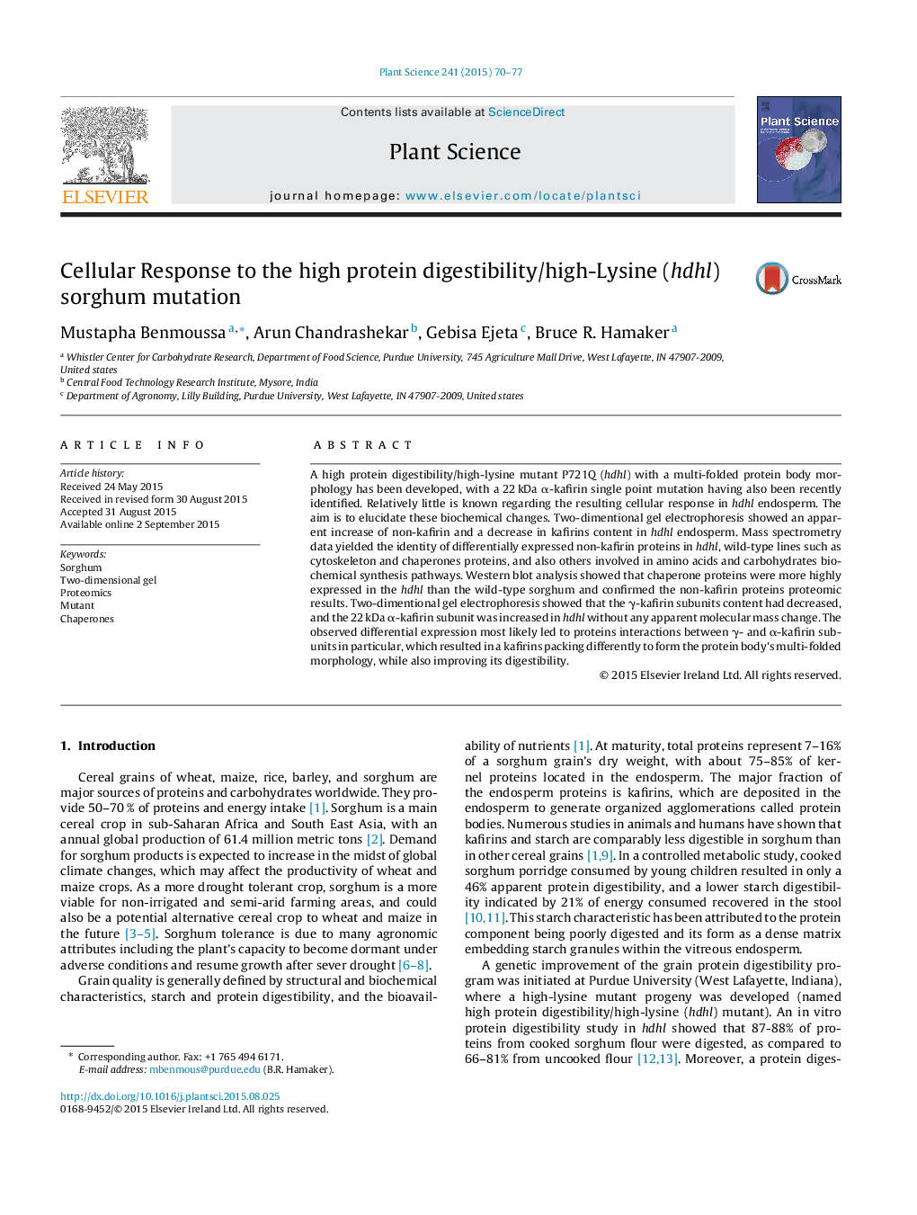 Cellular Response to the high protein digestibility/high-Lysine (hdhl) sorghum mutation