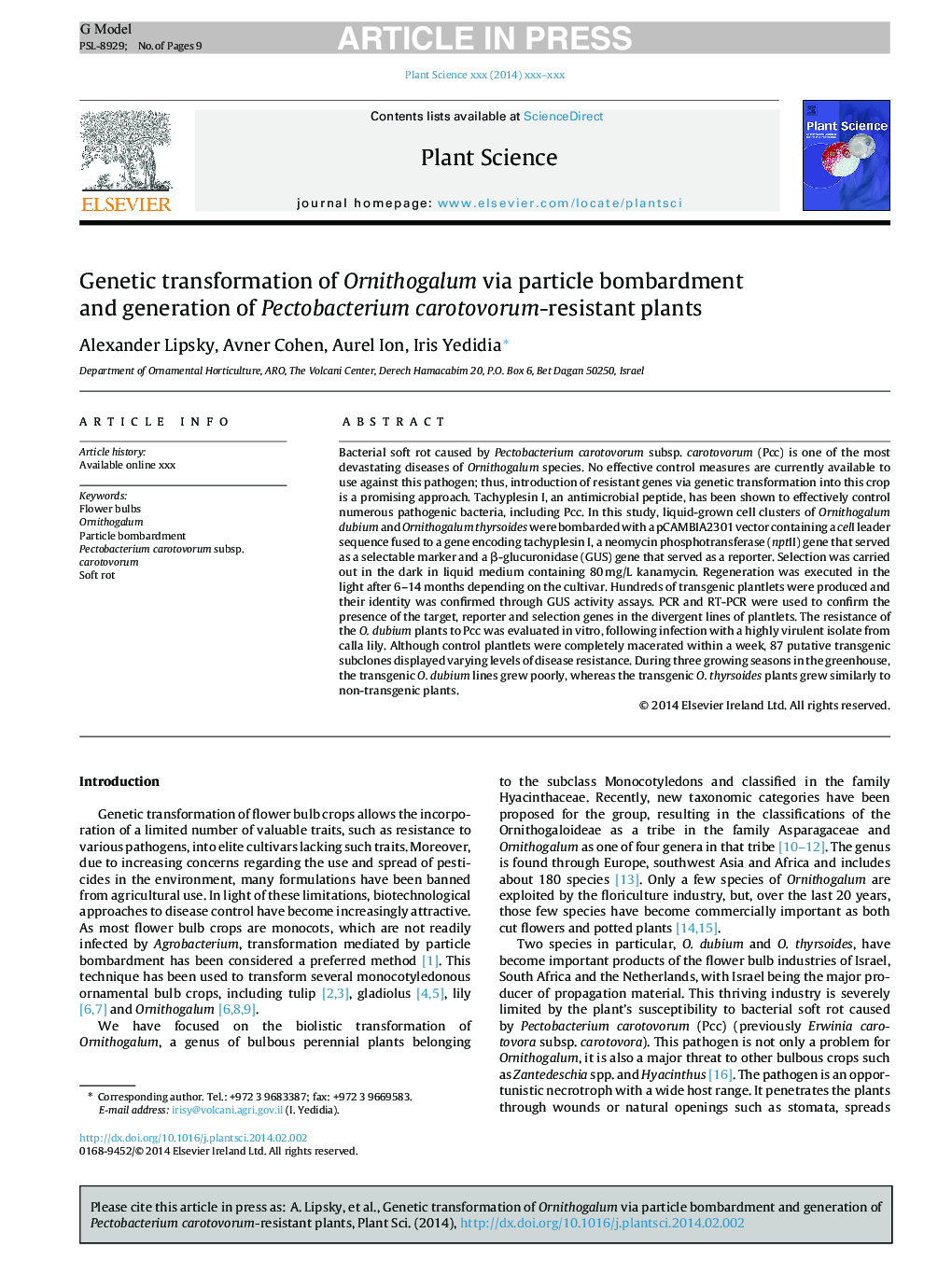 Genetic transformation of Ornithogalum via particle bombardment and generation of Pectobacterium carotovorum-resistant plants