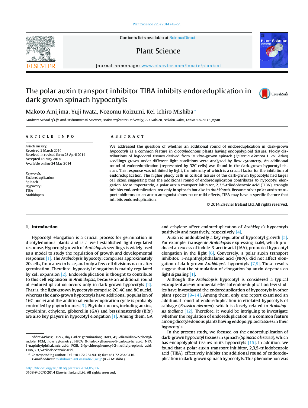 The polar auxin transport inhibitor TIBA inhibits endoreduplication in dark grown spinach hypocotyls