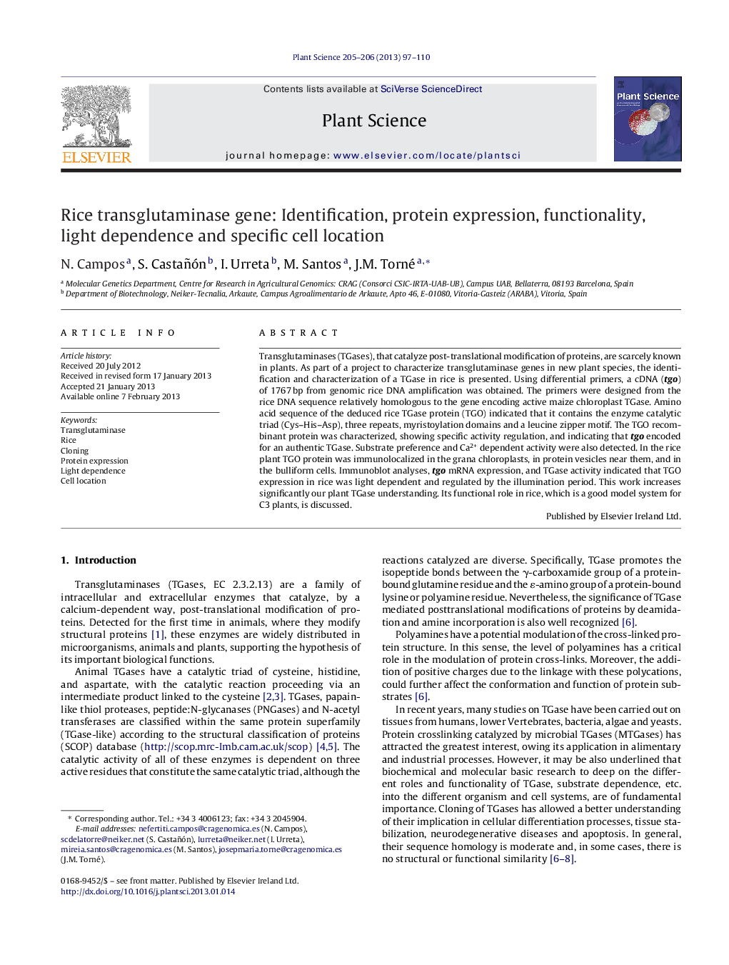 Rice transglutaminase gene: Identification, protein expression, functionality, light dependence and specific cell location