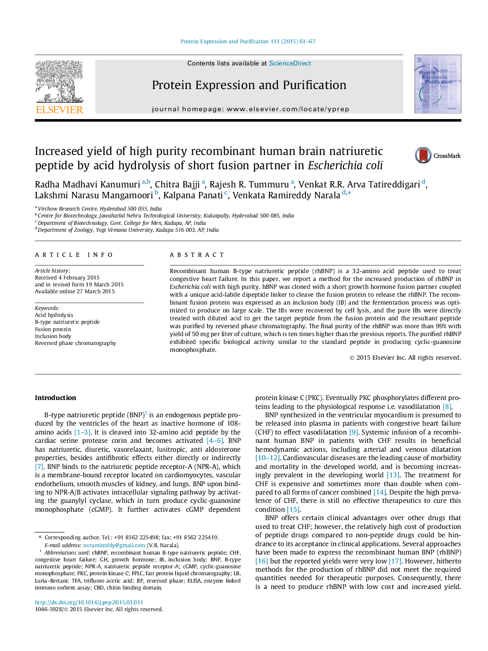 Increased yield of high purity recombinant human brain natriuretic peptide by acid hydrolysis of short fusion partner in Escherichia coli