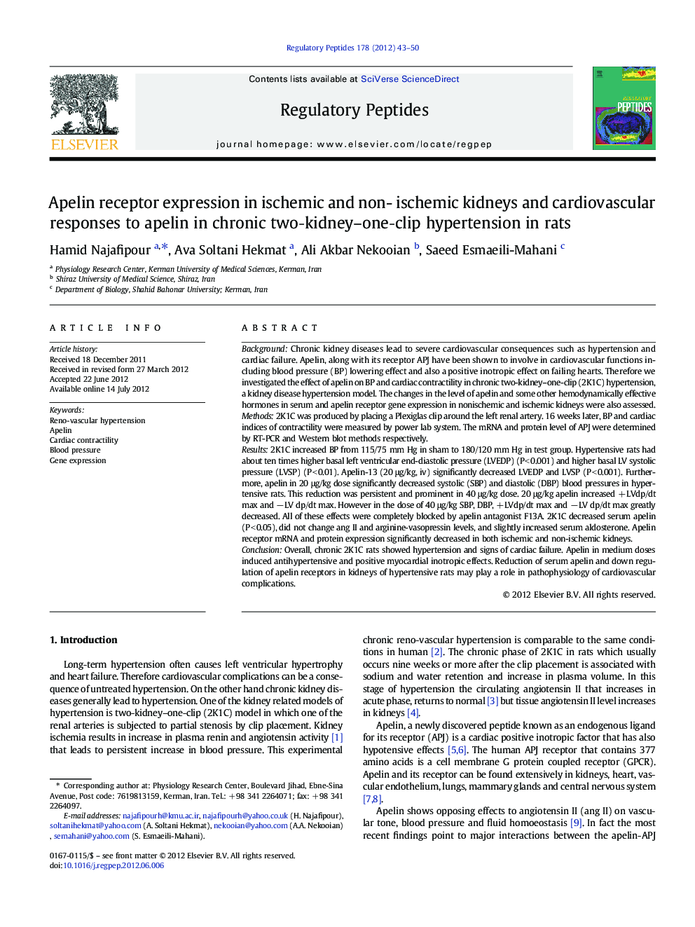 Apelin receptor expression in ischemic and non- ischemic kidneys and cardiovascular responses to apelin in chronic twoâkidney-oneâclip hypertension in rats