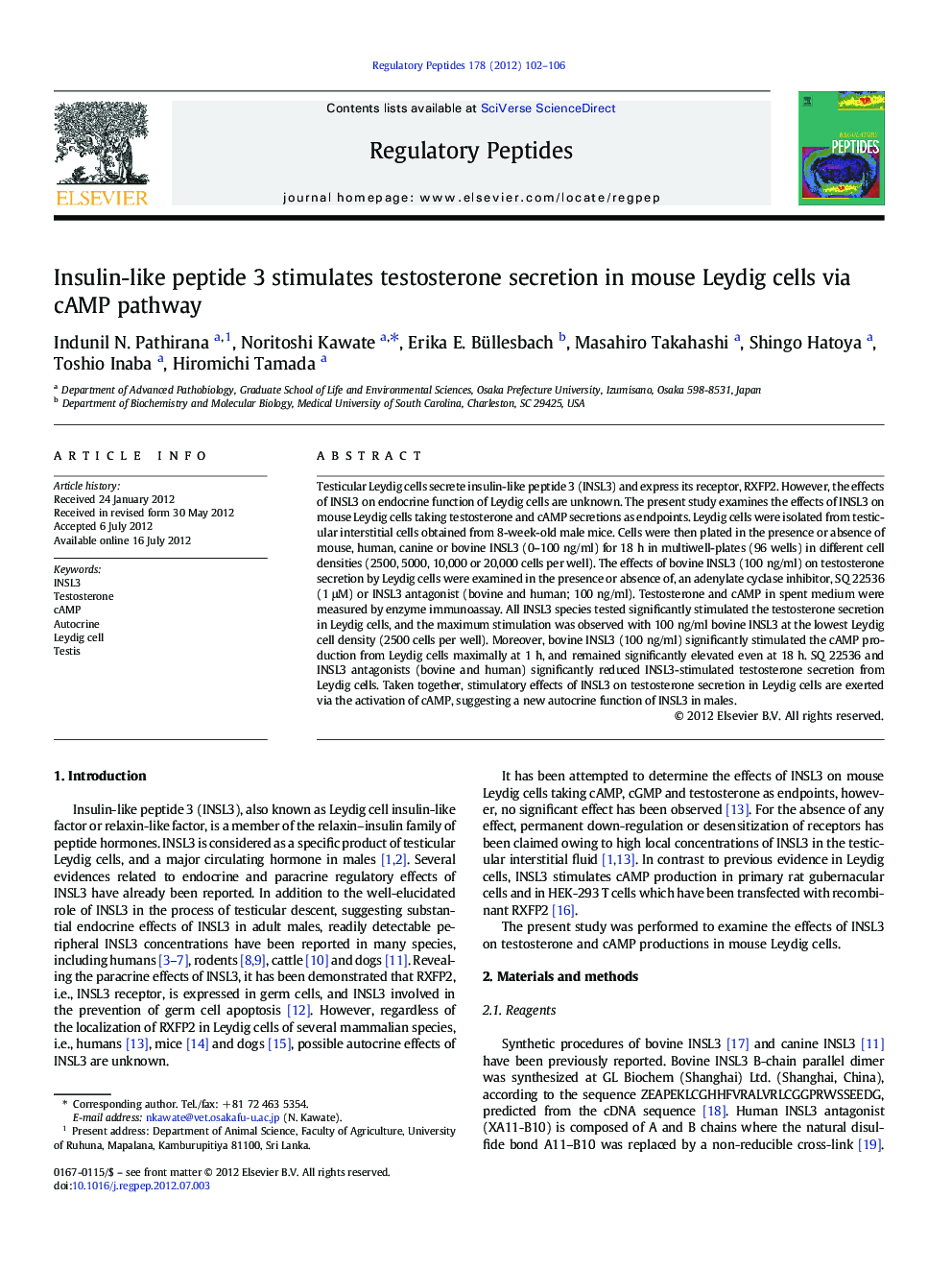 Insulin-like peptide 3 stimulates testosterone secretion in mouse Leydig cells via cAMP pathway