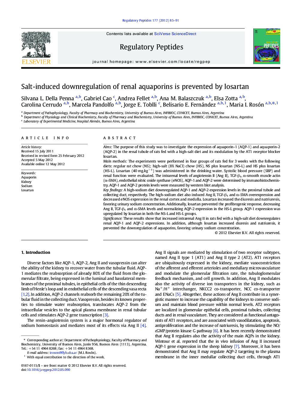 Salt-induced downregulation of renal aquaporins is prevented by losartan