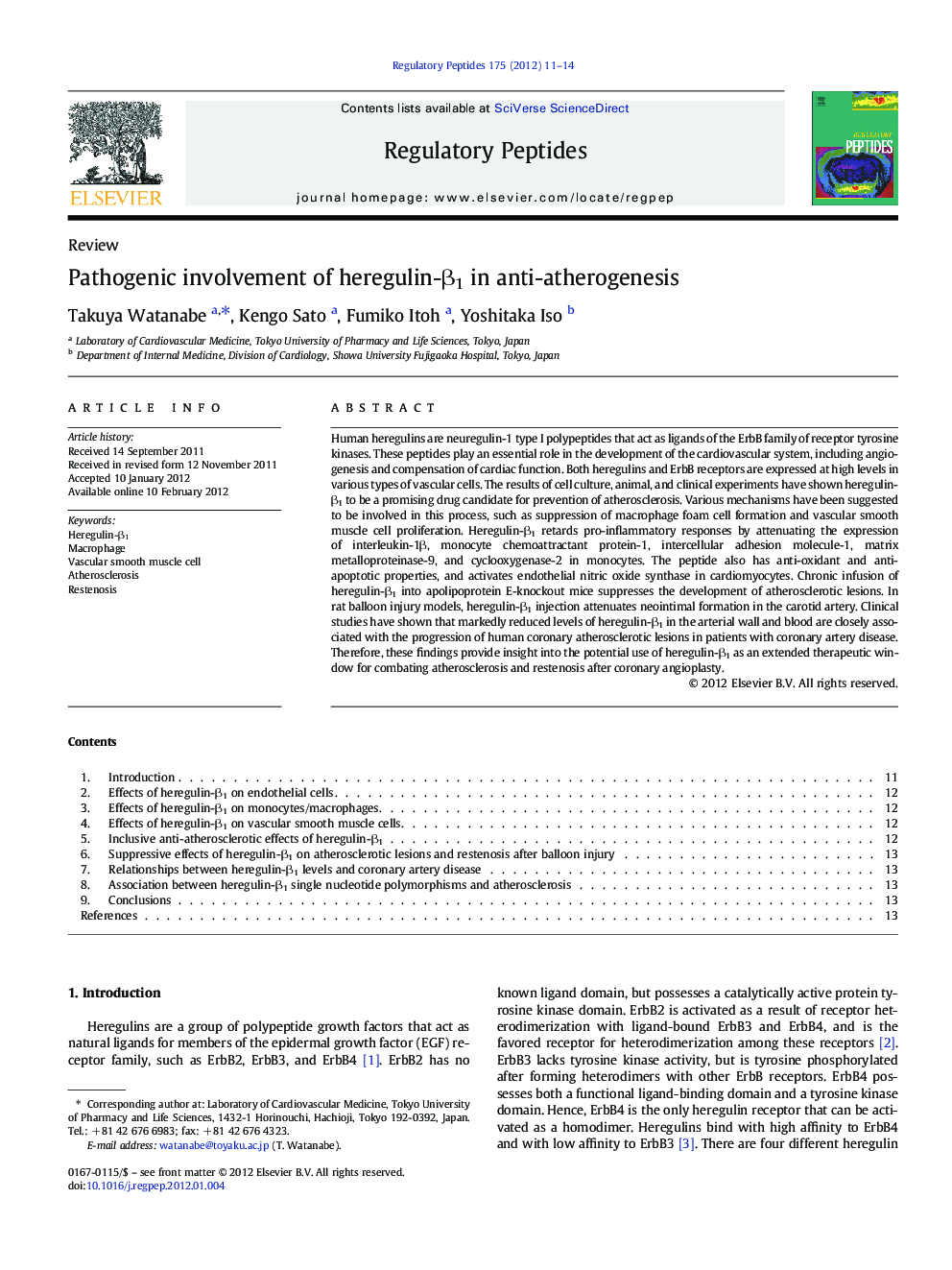 Pathogenic involvement of heregulin-Î²1 in anti-atherogenesis