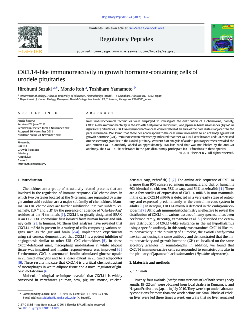 CXCL14-like immunoreactivity in growth hormone-containing cells of urodele pituitaries