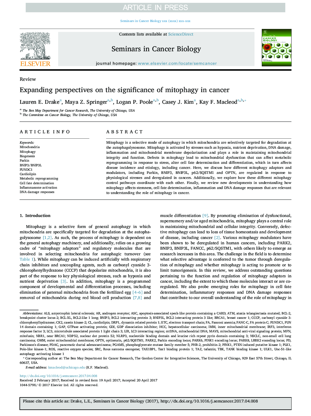 Expanding perspectives on the significance of mitophagy in cancer