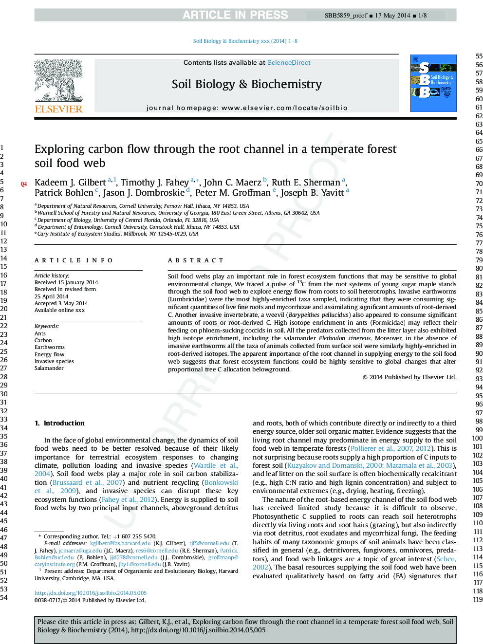 Exploring carbon flow through the root channel in a temperate forest soil food web