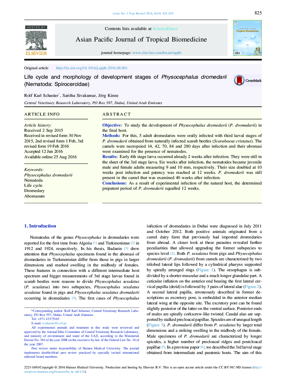 Life cycle and morphology of development stages of Physocephalus dromedarii (Nematoda: Spirocercidae)