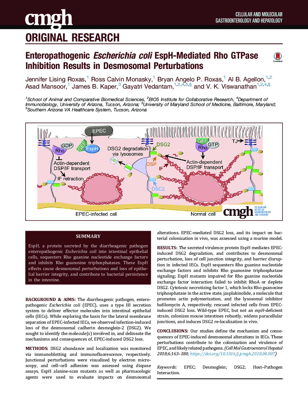 Enteropathogenic Escherichia coli EspH-Mediated Rho GTPase Inhibition Results in Desmosomal Perturbations