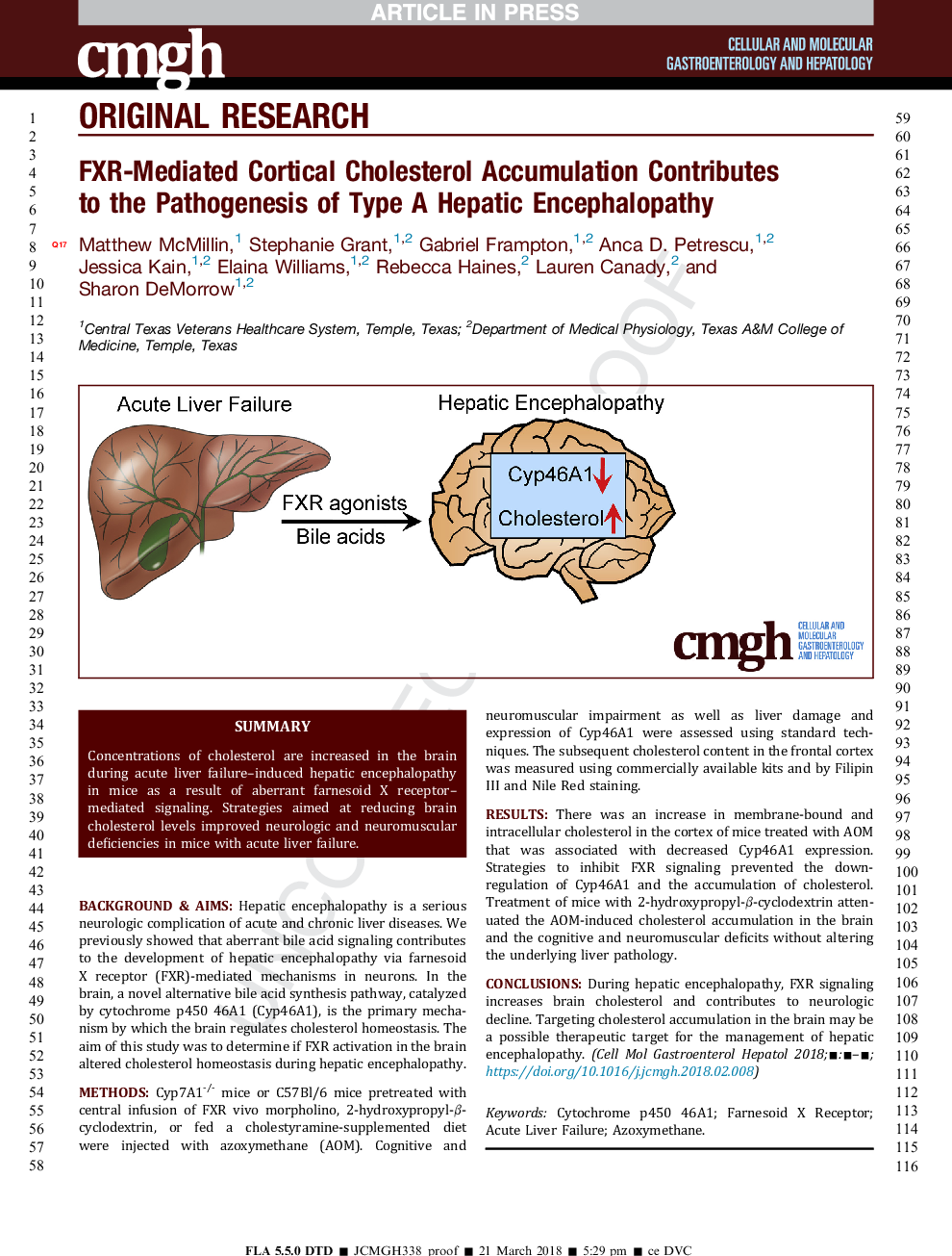 FXR-Mediated Cortical Cholesterol Accumulation Contributes to the Pathogenesis of Type A Hepatic Encephalopathy