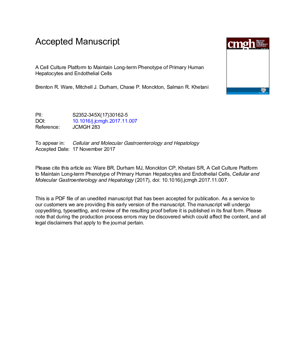 A Cell Culture Platform to Maintain Long-term Phenotype ofÂ Primary Human Hepatocytes and Endothelial Cells