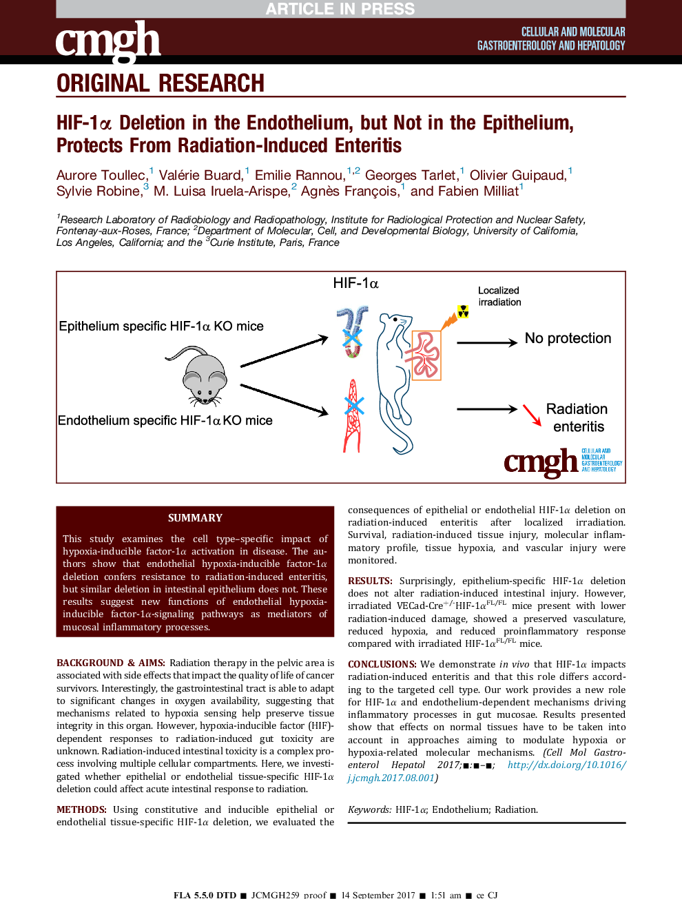 HIF-1Î± Deletion in the Endothelium, but Not in the Epithelium, Protects From Radiation-Induced Enteritis