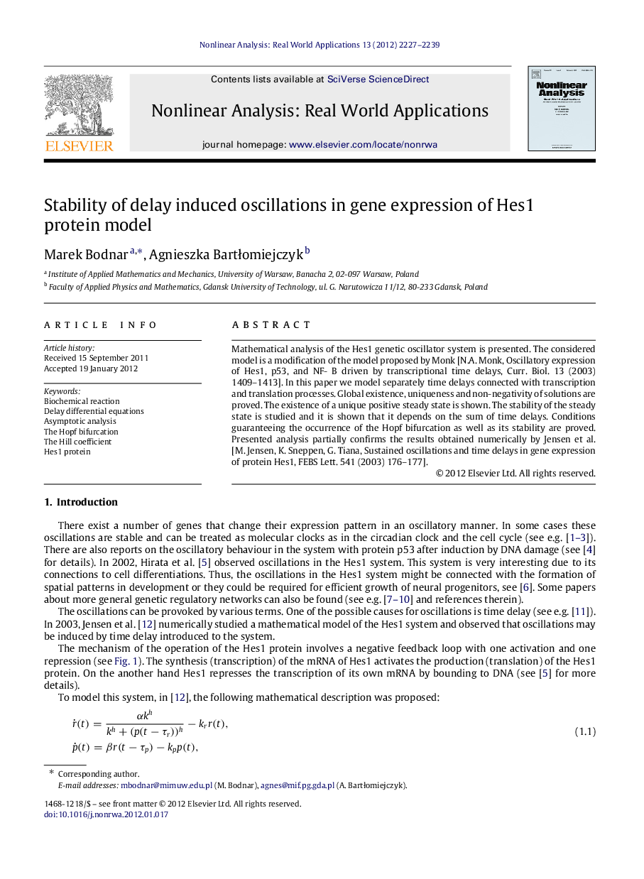 Stability of delay induced oscillations in gene expression of Hes1 protein model