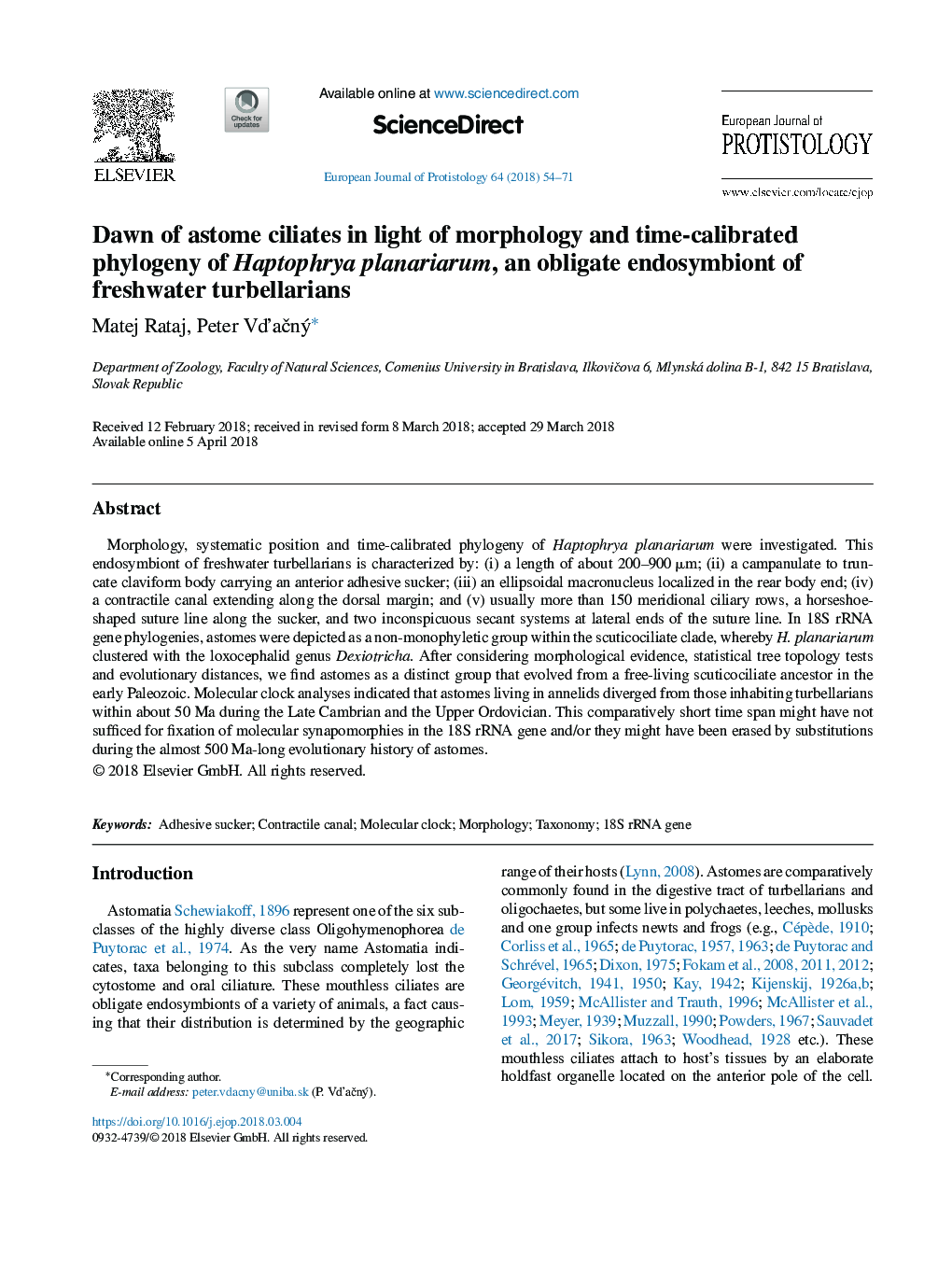 Dawn of astome ciliates in light of morphology and time-calibrated phylogeny of Haptophrya planariarum, an obligate endosymbiont of freshwater turbellarians