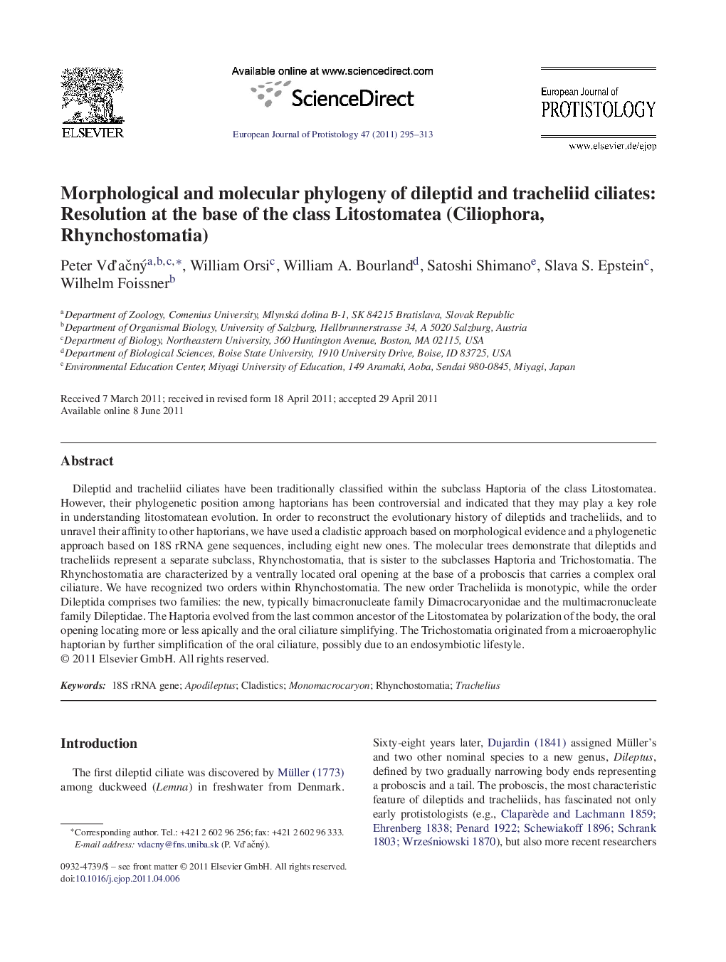 Morphological and molecular phylogeny of dileptid and tracheliid ciliates: Resolution at the base of the class Litostomatea (Ciliophora, Rhynchostomatia)