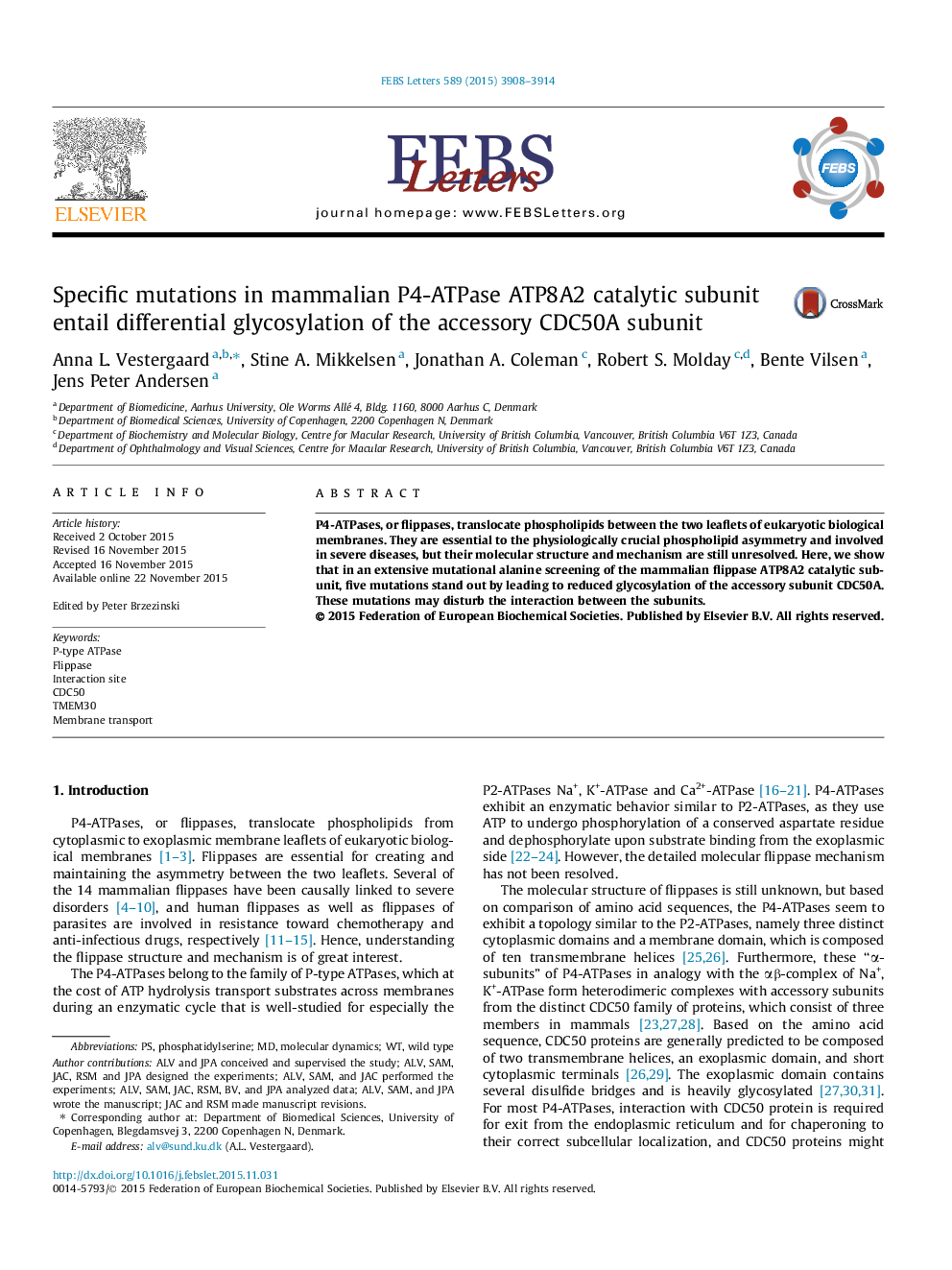 Specific mutations in mammalian P4-ATPase ATP8A2 catalytic subunit entail differential glycosylation of the accessory CDC50A subunit