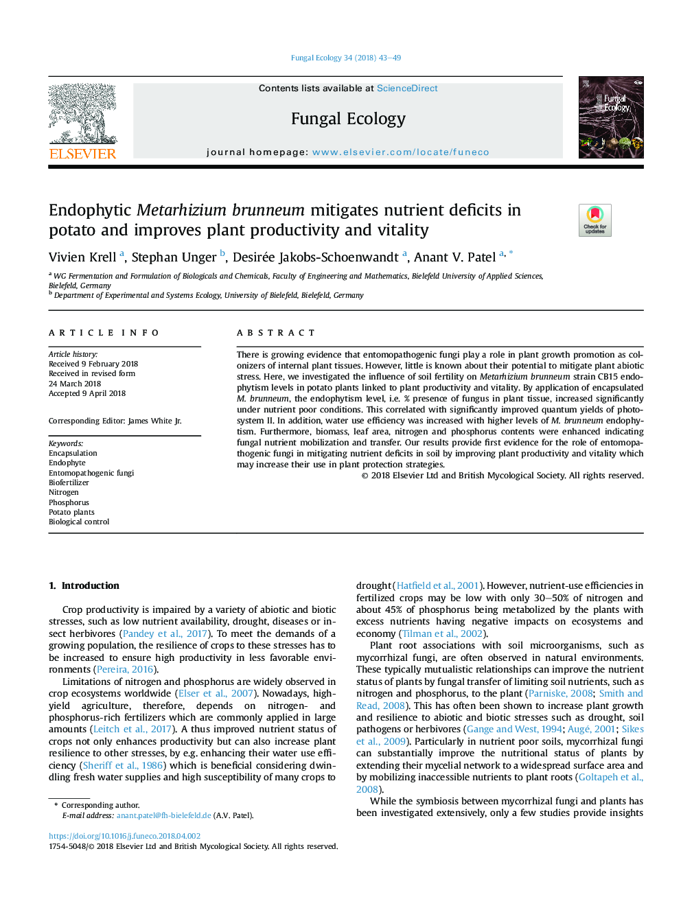 Endophytic Metarhizium brunneum mitigates nutrient deficits in potato and improves plant productivity and vitality