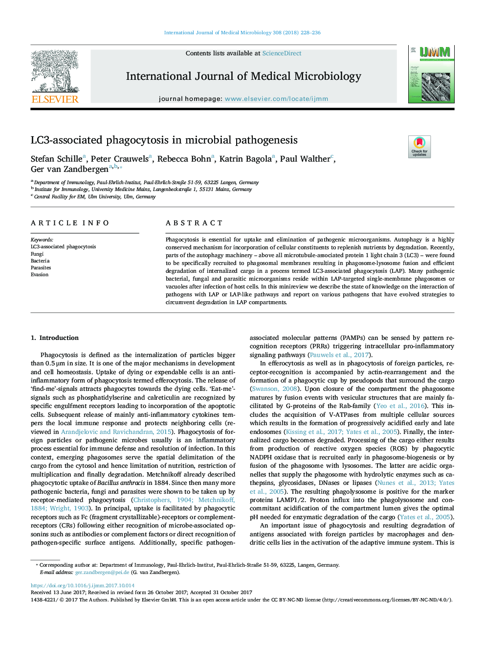 LC3-associated phagocytosis in microbial pathogenesis