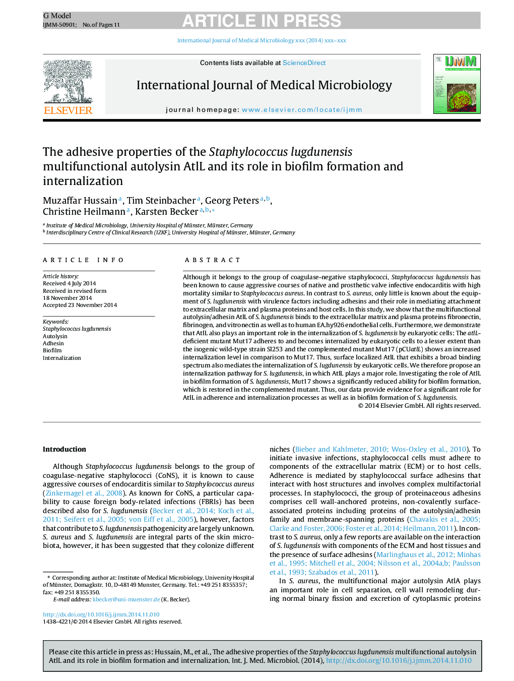 The adhesive properties of the Staphylococcus lugdunensis multifunctional autolysin AtlL and its role in biofilm formation and internalization