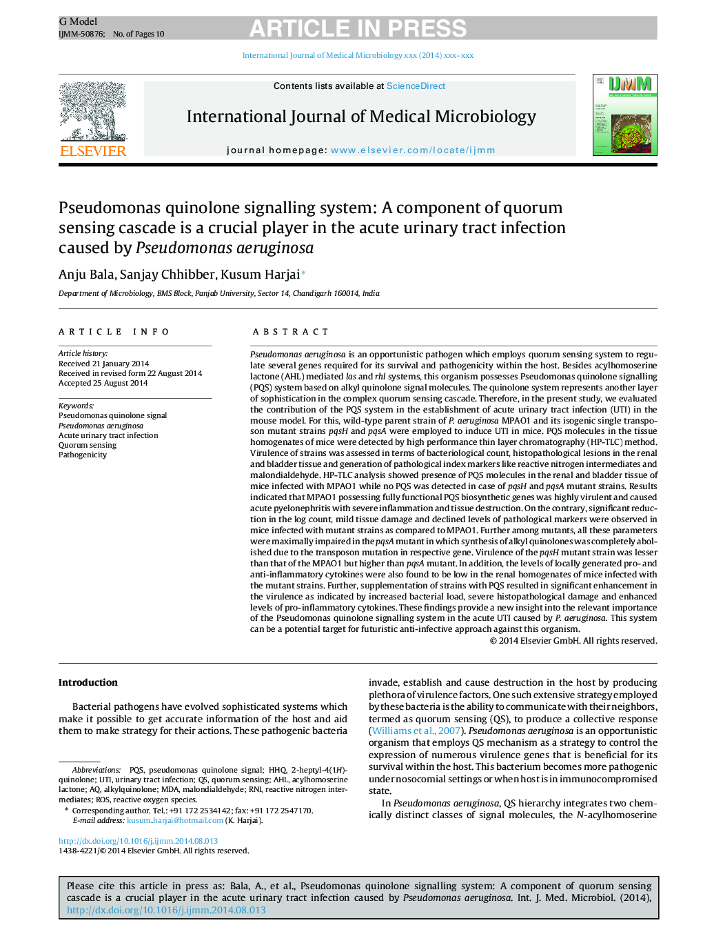 Pseudomonas quinolone signalling system: A component of quorum sensing cascade is a crucial player in the acute urinary tract infection caused by Pseudomonas aeruginosa