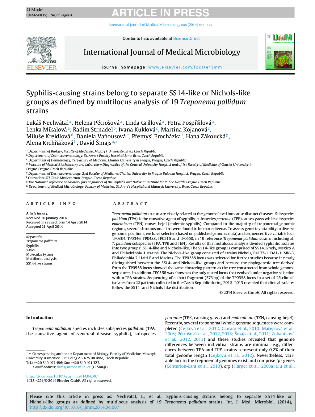 Syphilis-causing strains belong to separate SS14-like or Nichols-like groups as defined by multilocus analysis of 19 Treponema pallidum strains