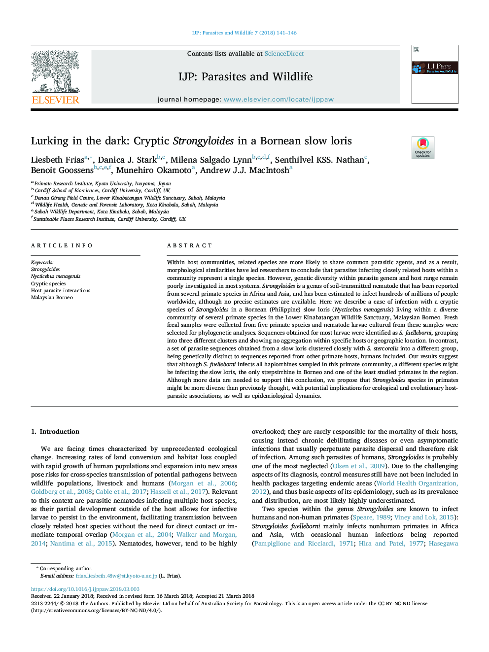 Lurking in the dark: Cryptic Strongyloides in a Bornean slow loris