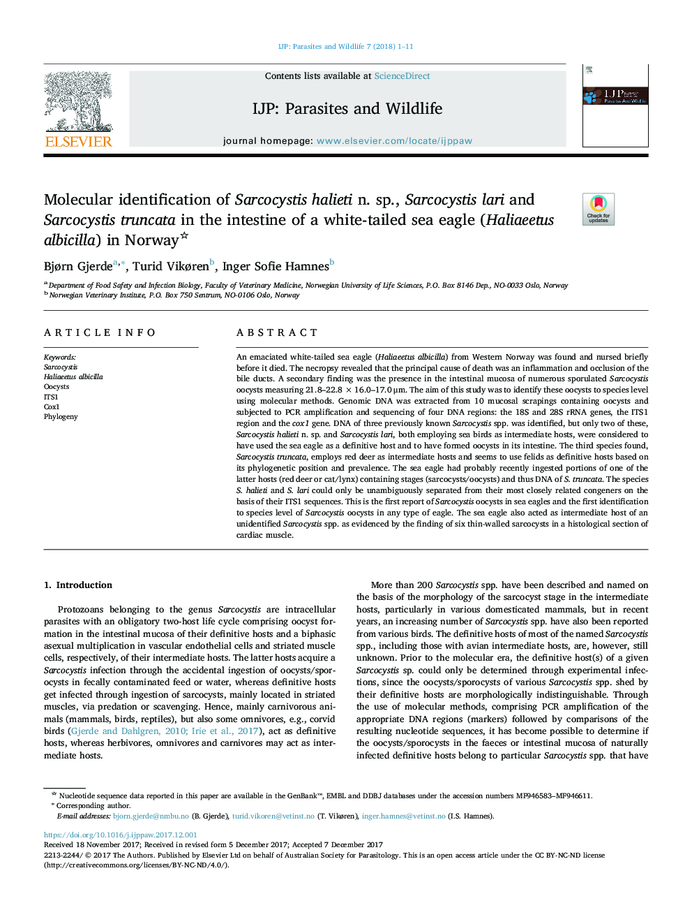 Molecular identification of Sarcocystis halieti n. sp., Sarcocystis lari and Sarcocystis truncata in the intestine of a white-tailed sea eagle (Haliaeetus albicilla) in Norway