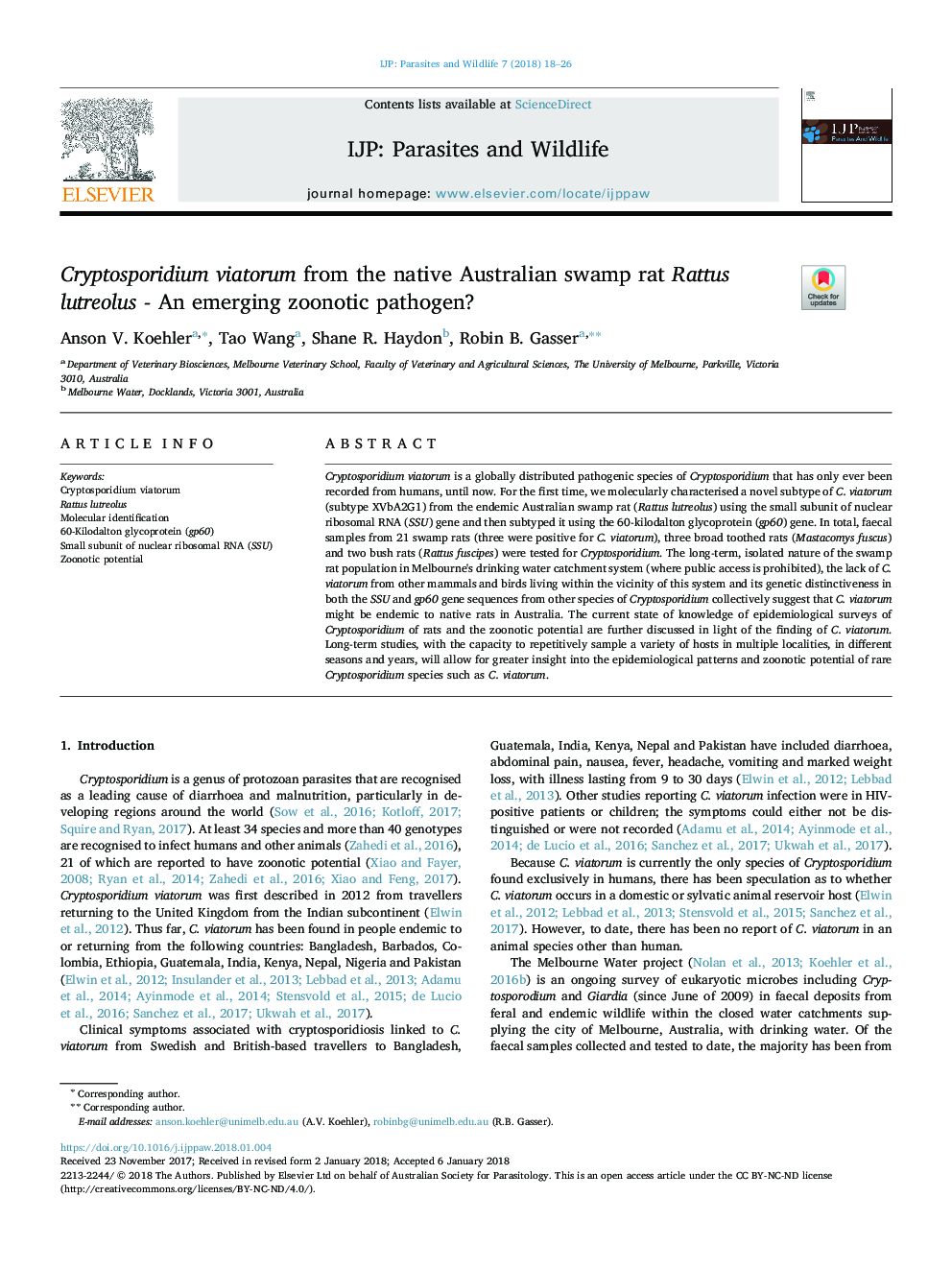 Cryptosporidium viatorum from the native Australian swamp rat Rattus lutreolus - An emerging zoonotic pathogen?