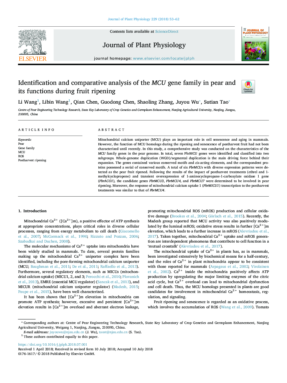 Identification and comparative analysis of the MCU gene family in pear and its functions during fruit ripening