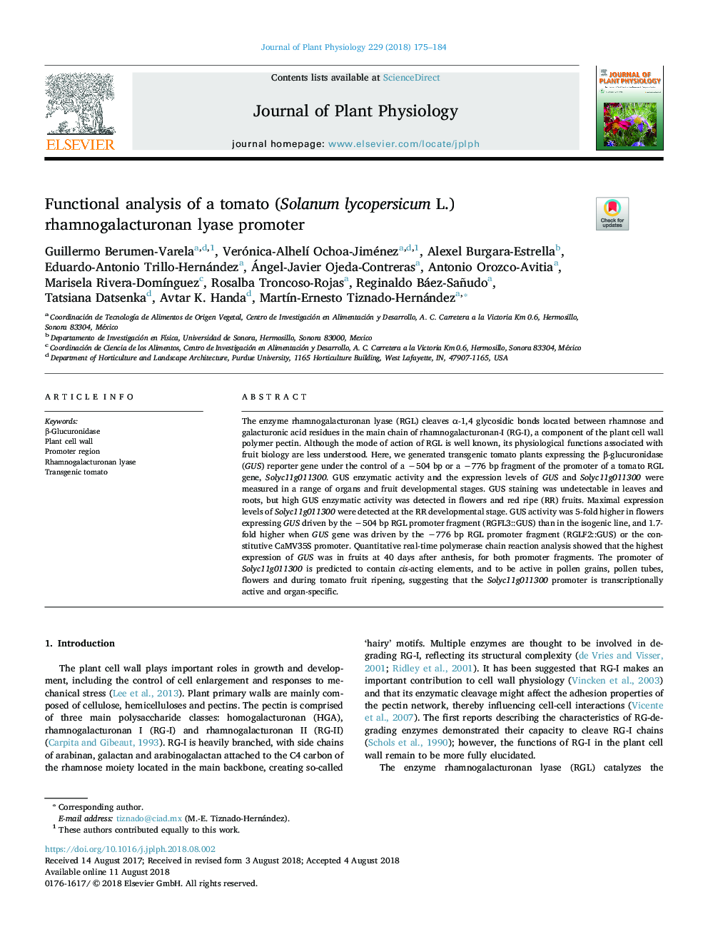 Functional analysis of a tomato (Solanum lycopersicum L.) rhamnogalacturonan lyase promoter