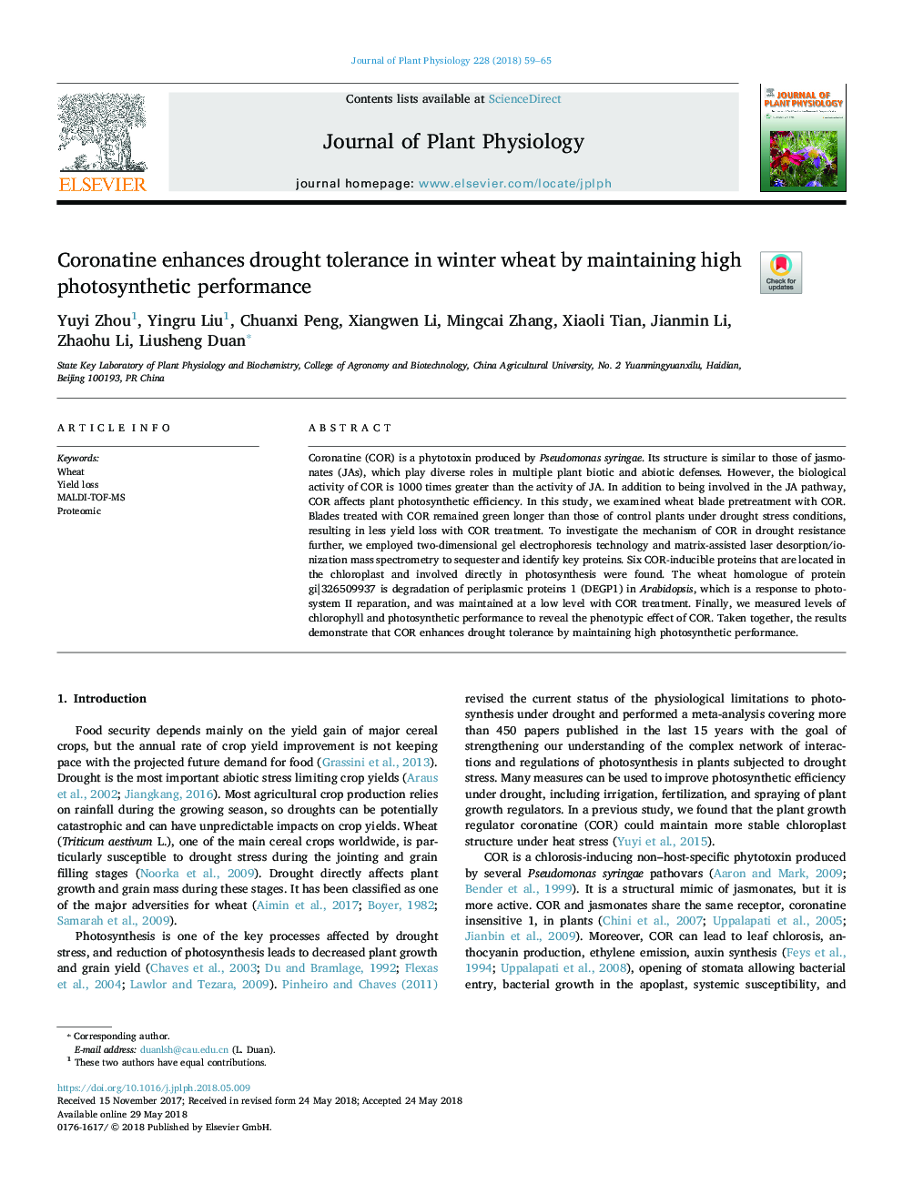 Coronatine enhances drought tolerance in winter wheat by maintaining high photosynthetic performance