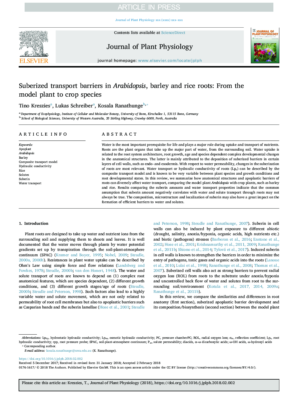 Suberized transport barriers in Arabidopsis, barley and rice roots: From the model plant to crop species