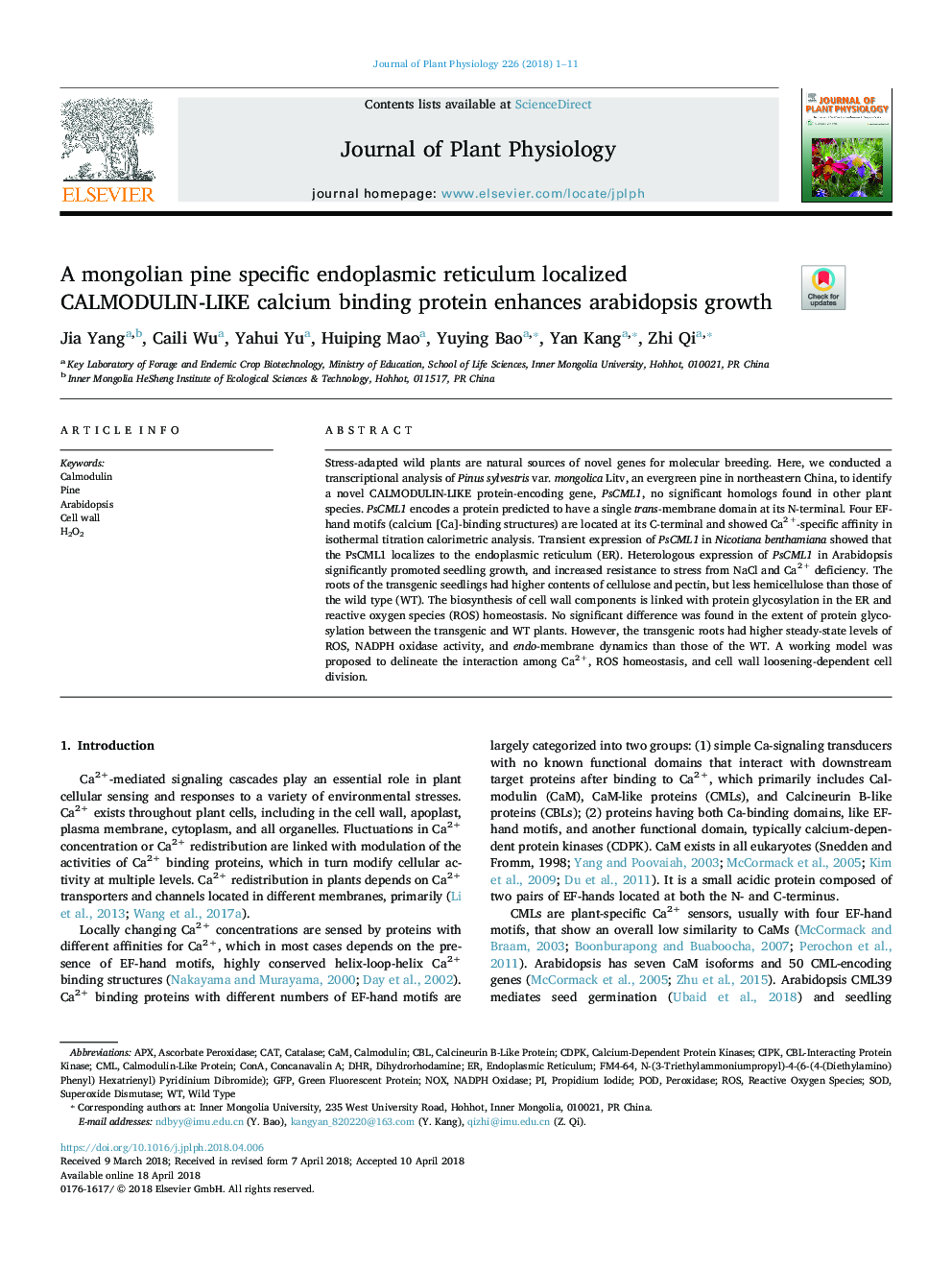 A mongolian pine specific endoplasmic reticulum localized CALMODULIN-LIKE calcium binding protein enhances arabidopsis growth