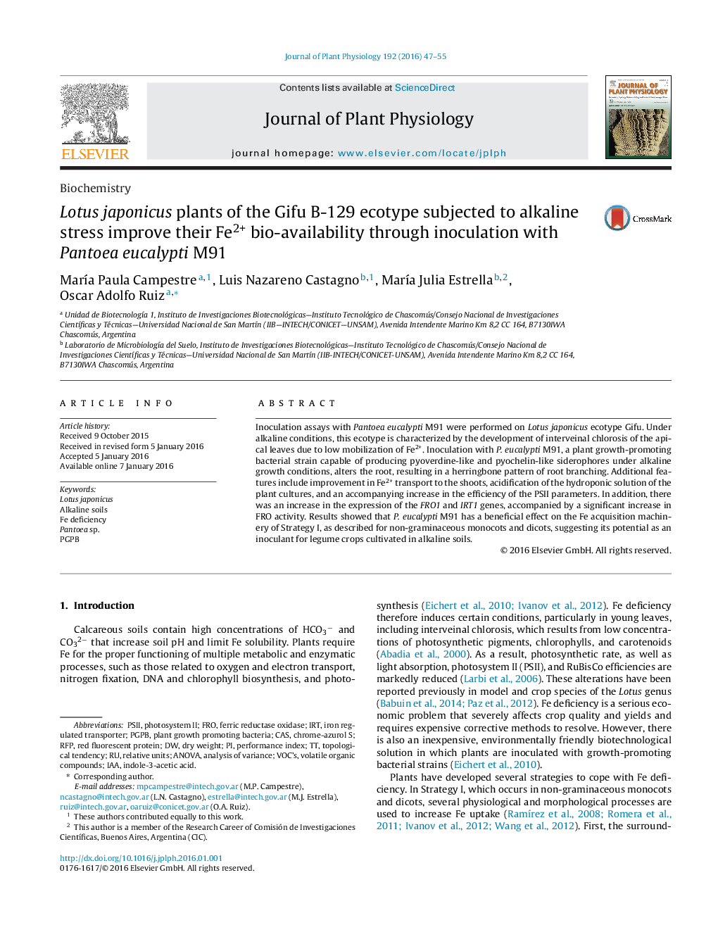 Lotus japonicus plants of the Gifu B-129 ecotype subjected to alkaline stress improve their Fe2+ bio-availability through inoculation with Pantoea eucalypti M91