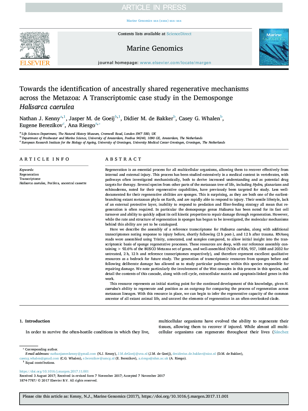 Towards the identification of ancestrally shared regenerative mechanisms across the Metazoa: A Transcriptomic case study in the Demosponge Halisarca caerulea