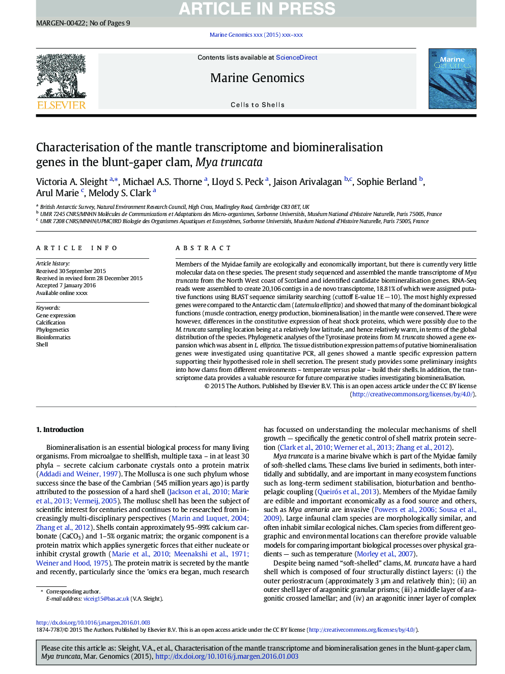 Characterisation of the mantle transcriptome and biomineralisation genes in the blunt-gaper clam, Mya truncata