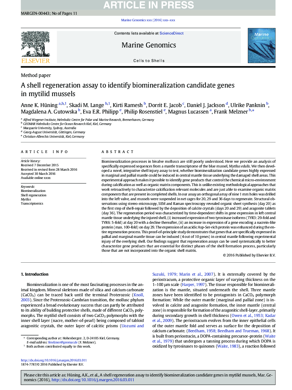 A shell regeneration assay to identify biomineralization candidate genes in mytilid mussels