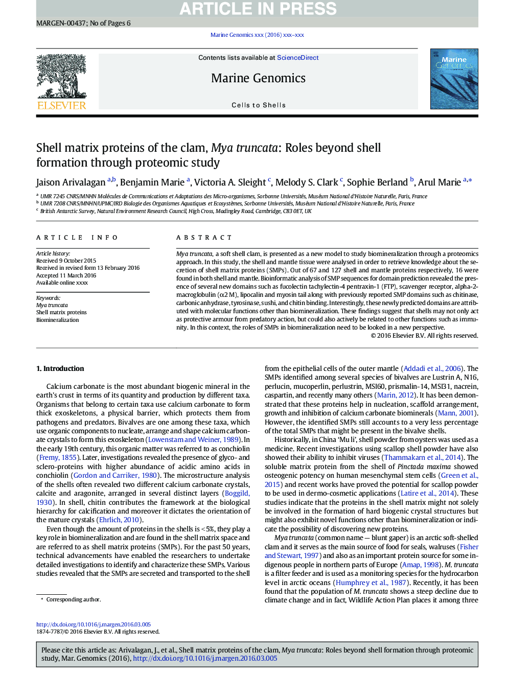 Shell matrix proteins of the clam, Mya truncata: Roles beyond shell formation through proteomic study