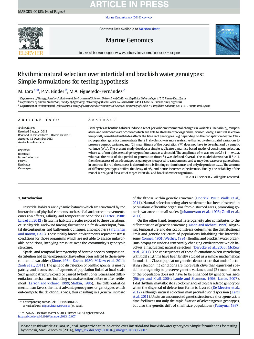 Rhythmic natural selection over intertidal and brackish water genotypes: Simple formulations for testing hypothesis