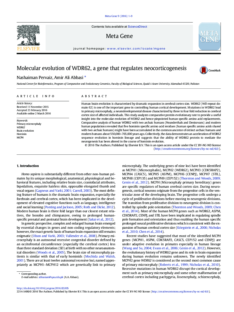 Molecular evolution of WDR62, a gene that regulates neocorticogenesis