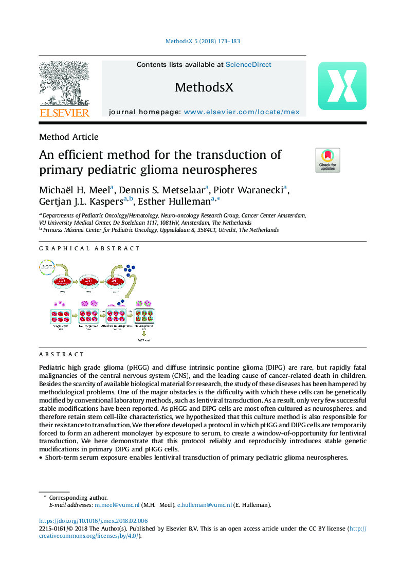 An efficient method for the transduction of primary pediatric glioma neurospheres