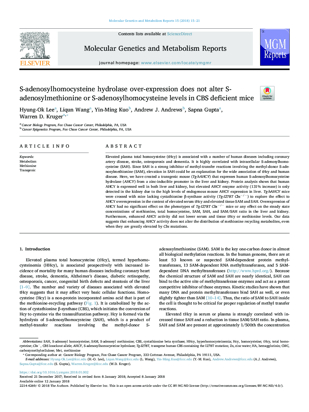 S-adenosylhomocysteine hydrolase over-expression does not alter S-adenosylmethionine or S-adenosylhomocysteine levels in CBS deficient mice