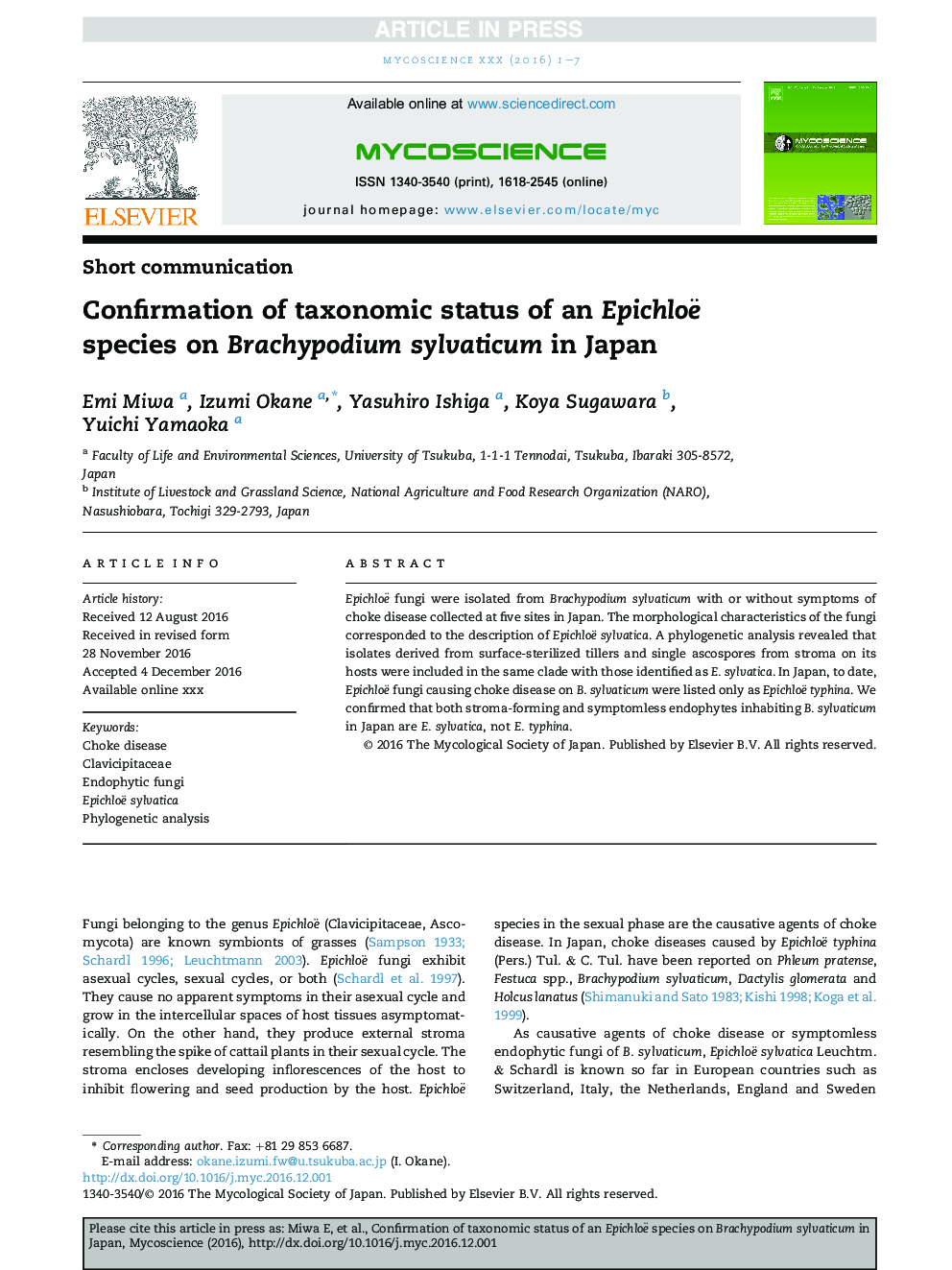 Confirmation of taxonomic status of an Epichloë species on Brachypodium sylvaticum in Japan