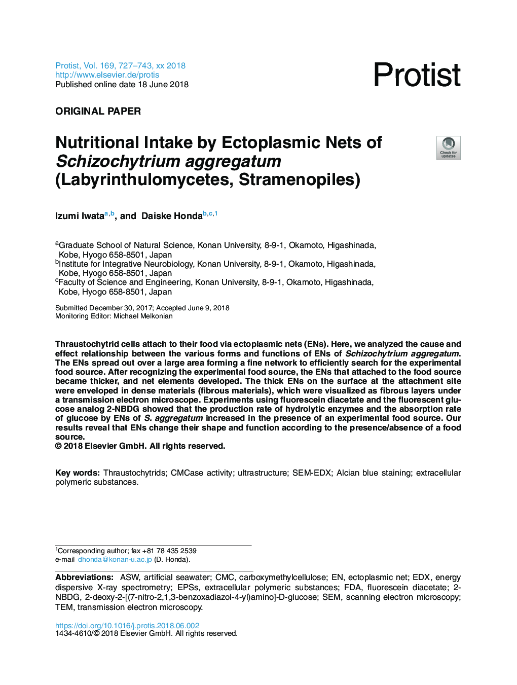 Nutritional Intake by Ectoplasmic Nets of Schizochytrium aggregatum (Labyrinthulomycetes, Stramenopiles)