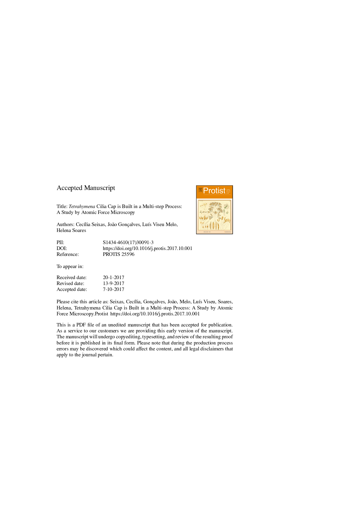 Tetrahymena Cilia Cap is Built in a Multi-step Process: A Study by Atomic Force Microscopy